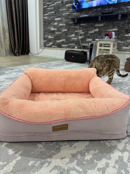 Лежанки для кошек