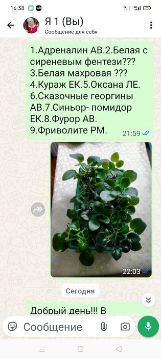 Продажа,детки фиалок!!!