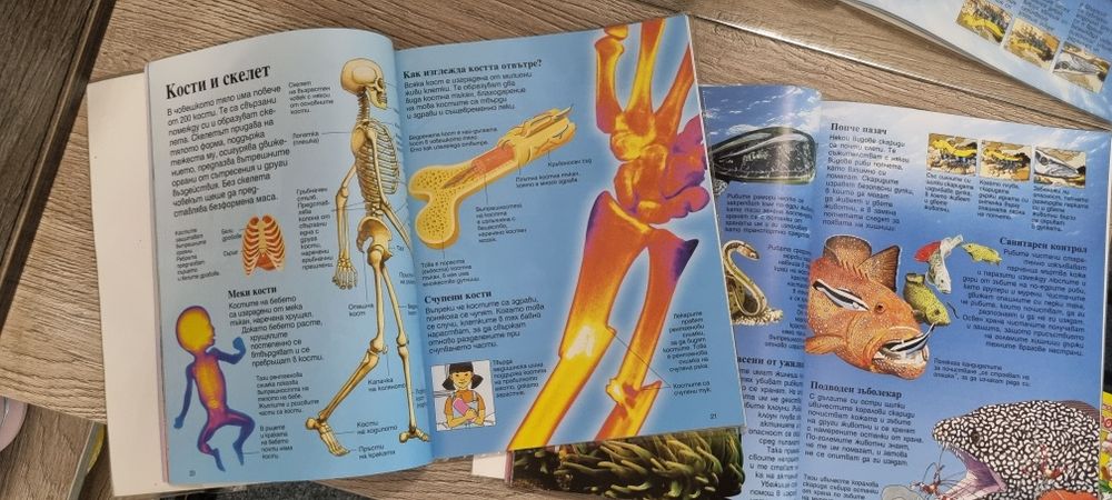Детски енциклопедии на издателство ,,Фют''