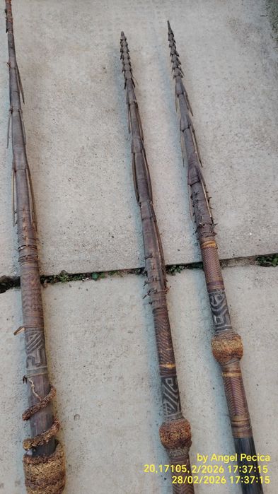 Vând trei sulițe melaneziene, prob. Papua Noua Guinee, Solomon Islands