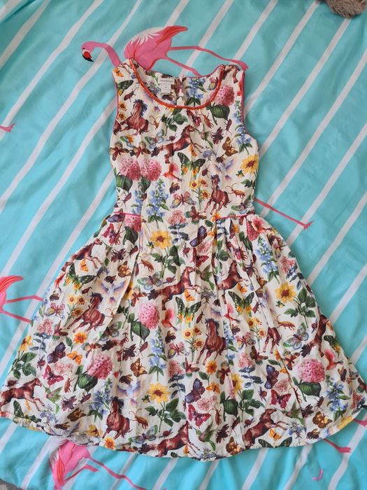 Rochita Monsoon 10 ani