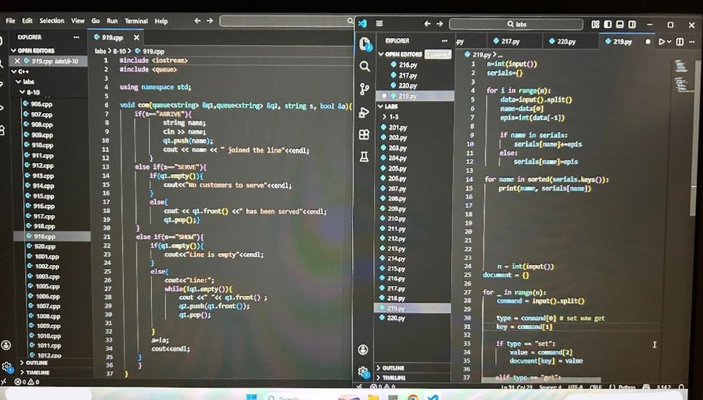 Репетитор по программированию(Python,C++)