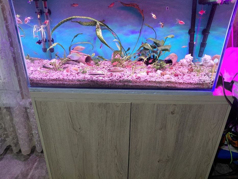 Akvarium  sotiladi