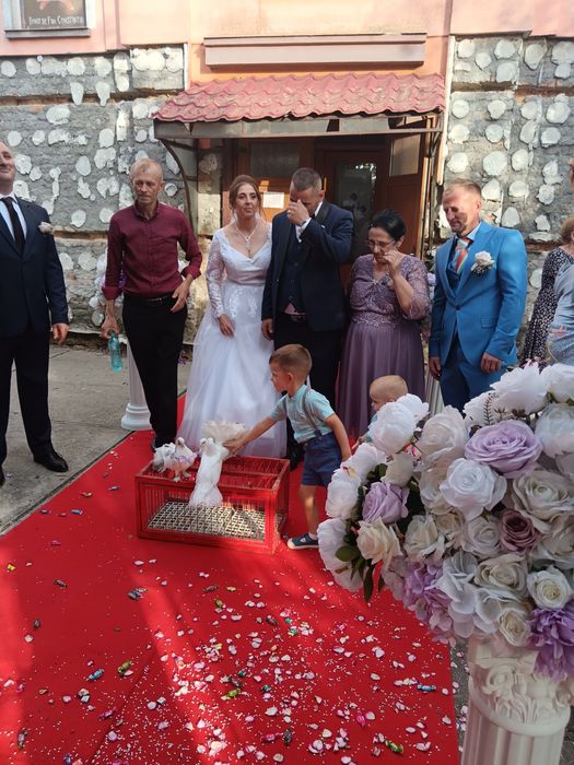 Porumbei albi pentru nunti Timișoara