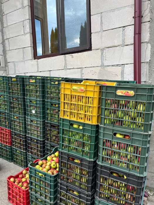 Mere pentru industrie