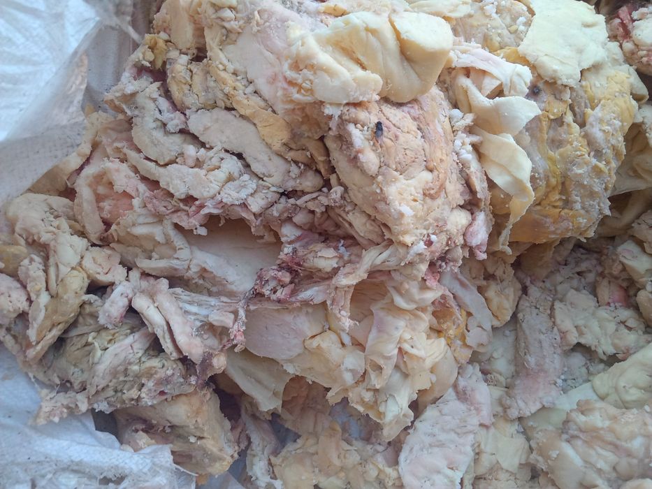 Жир гов. технический