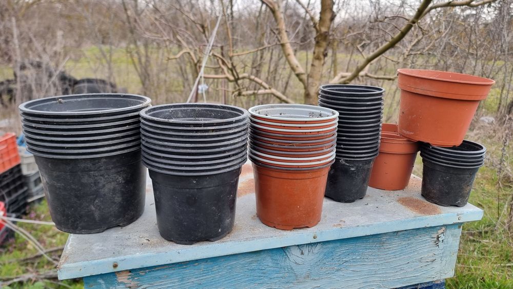 Кофички саксийки за разсад