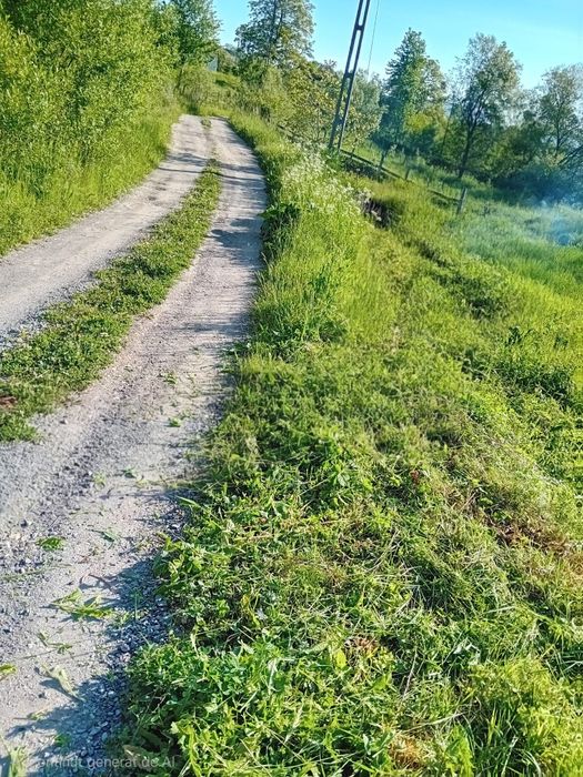 Vand teren 2000mp intravilan cu CF