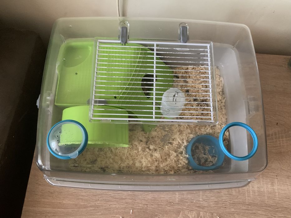 Vand hamster……..