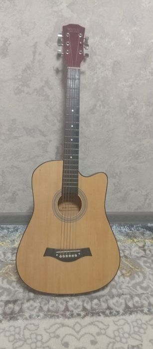 6 strunalik gitara