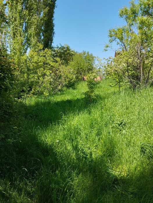 Йер сотилади 16 сотих