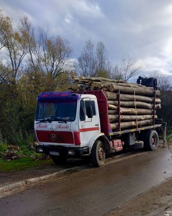 Camion cu macara forestieră
