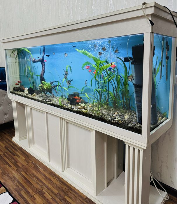 Аквариум для дом