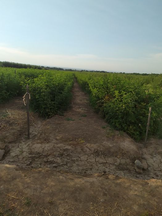 Продам Землю кха