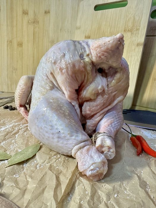 Куры-бройлеры домашние