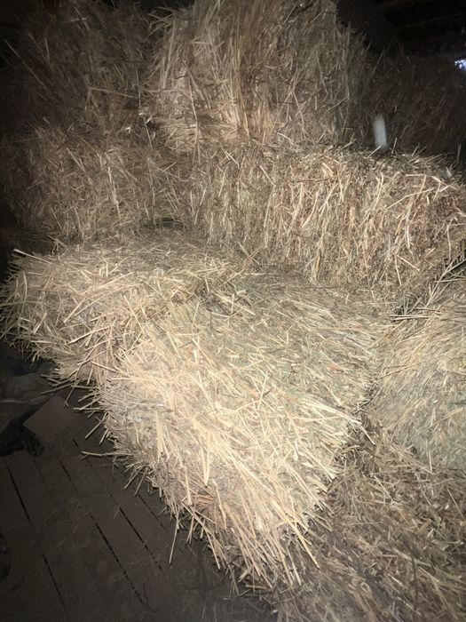 Жоңышқа сатылады