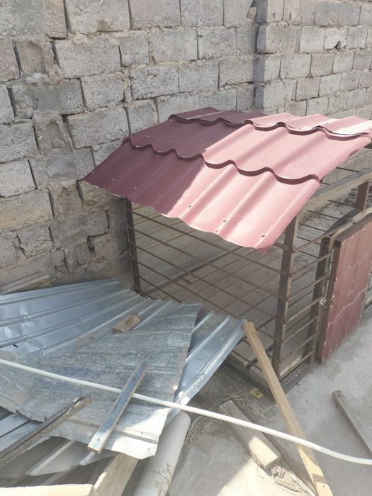 Иттин уйшиги сатылады