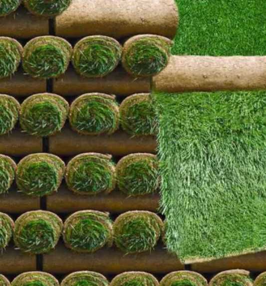 Gazon Natural Dens – Verificare Video și Montaj la Adresă