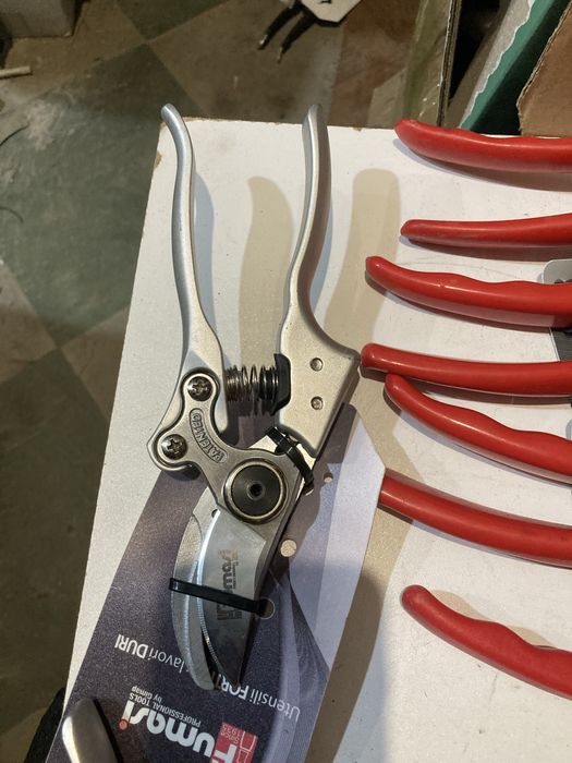 Foarfeci vie italia Noi