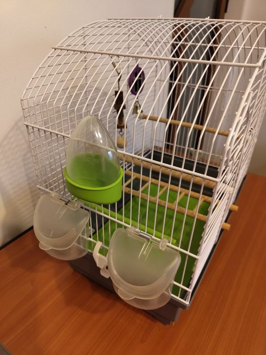 Colivie pasari       .