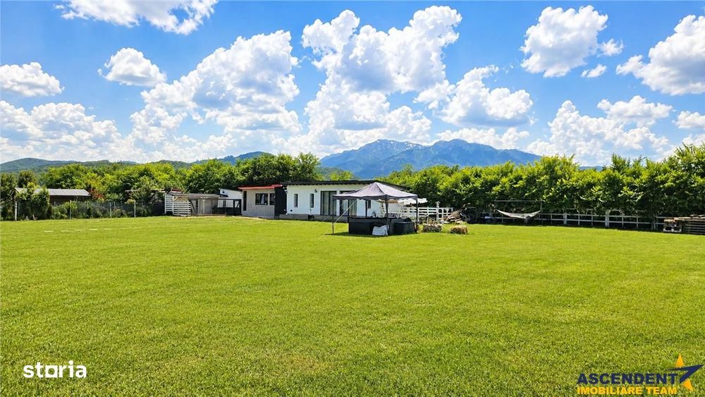 Teren 1.640 mp cu cabana moderna, foisor, gratar, atmosfera de vacanta