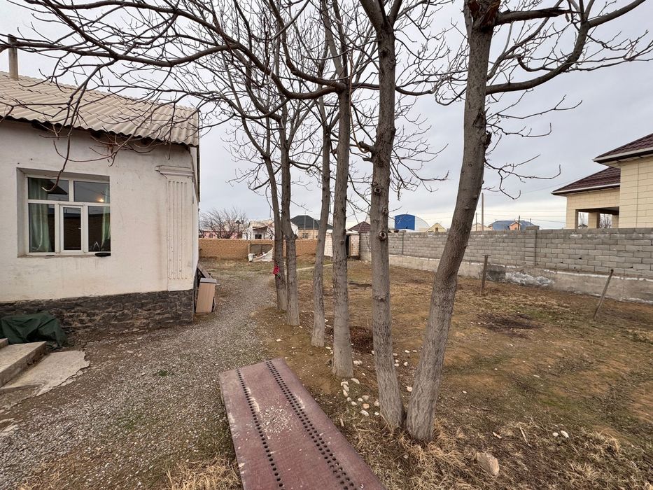 Жер сатылады бітпеген таммен