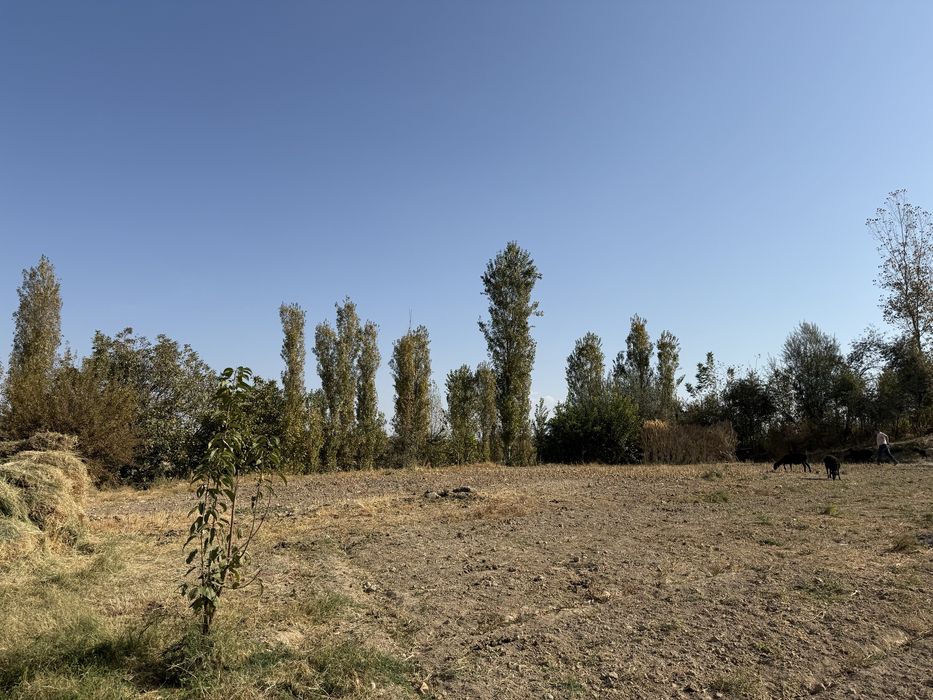 СРОЧНО Продаётся участок 11