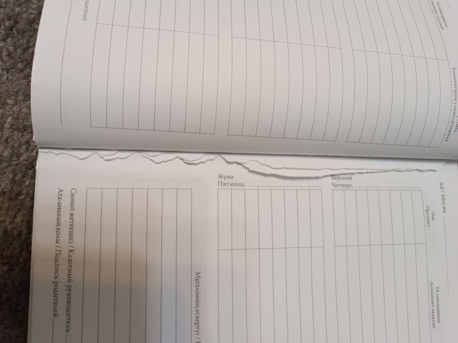 Дневник школьный