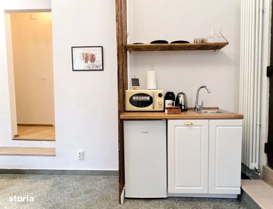 Garsoniera cocheta, pet-friendly in centru