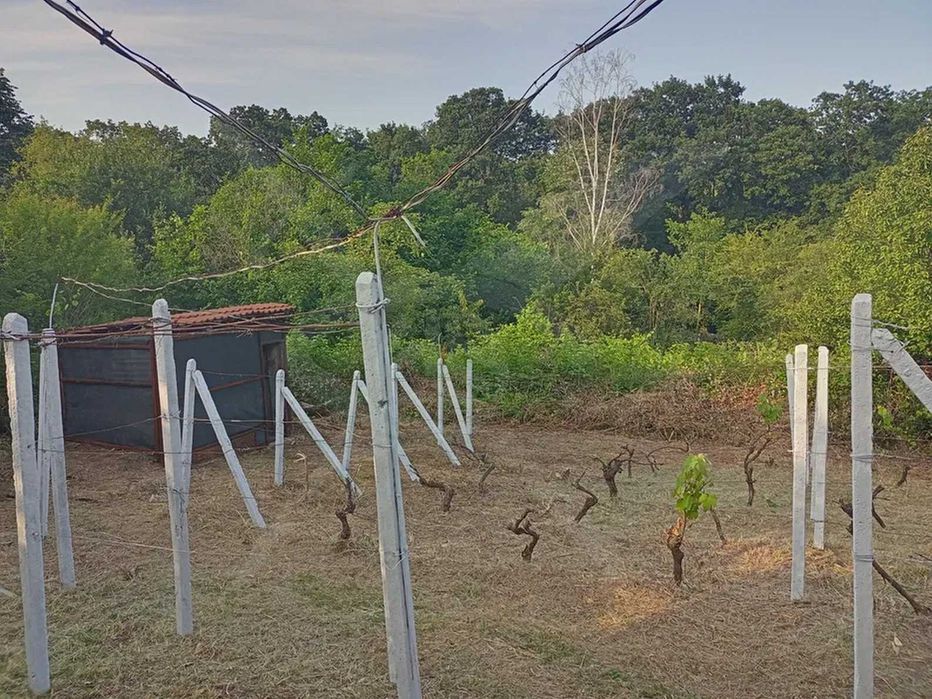 Продава се Къща в Варна, м-т Боровец - юг - 46 кв.м за 1479 €/кв.м - Снимка #6