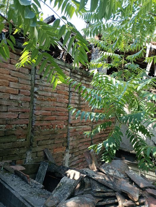 Продава се Парцел в с. Ловец, Област Стара Загора - 3200 кв.м за 5 €/кв.м - Снимка #6