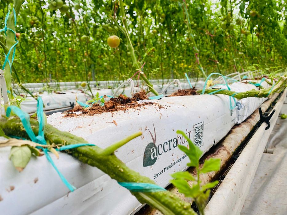 Кокосовый субстрат в матах 18 литр 100% гарантия качества!!!