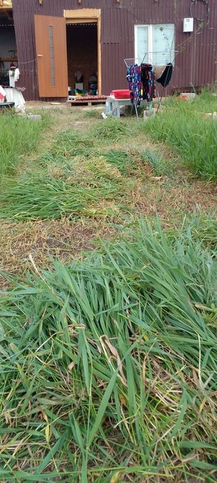 Участка. ЖЕР 6 Соток