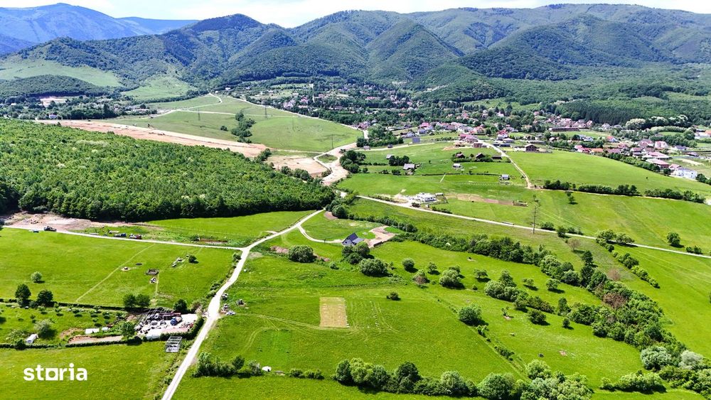 Teren extravilan 600mp in Tocile de Jos - Vedere 3