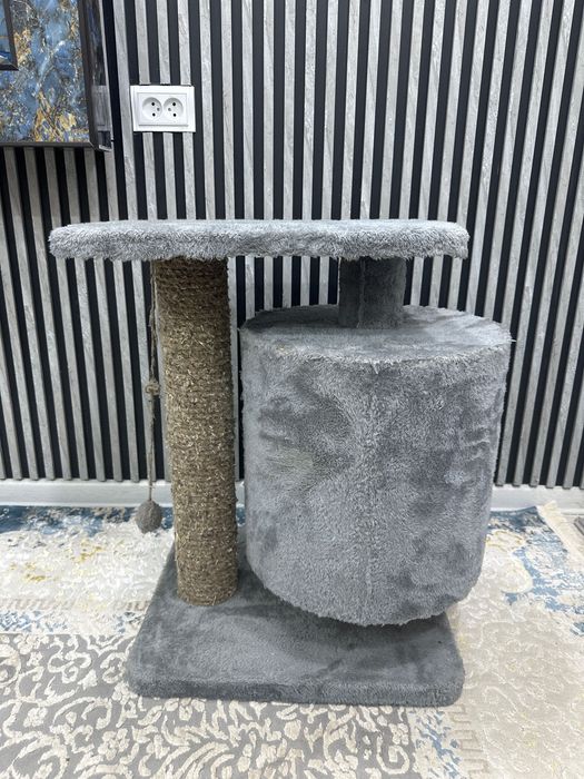 Mushuk uychasi sotiladi