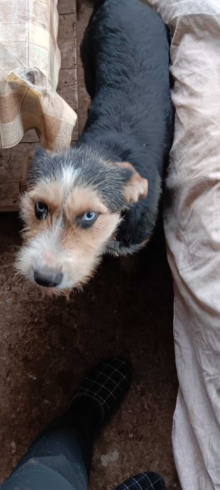 Подарява се смесен барак