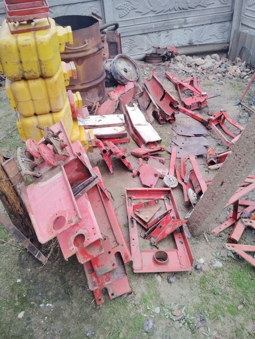 Daichi selka zabchastka