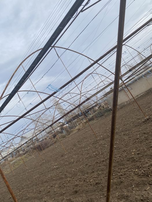 Issiqxona sotiladi 4.3 sotix 18/24 joyi sotigi 5 milyon 2019 qurlgn