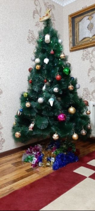 Ёлка Ёршик  Арча