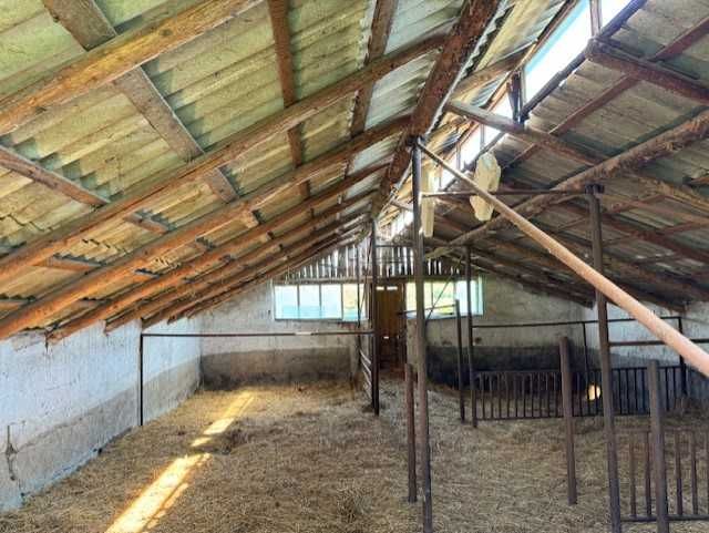 Casa la tara intabulata 14 ari cu gaz, trifazic plus gradina 15 ari