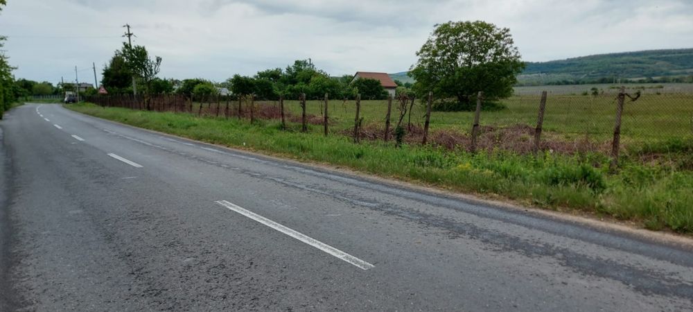 Teren de Vanzare - 11.780 m - INTRAVILAN, Desc. ap.110 m, MEREI - BUZAU