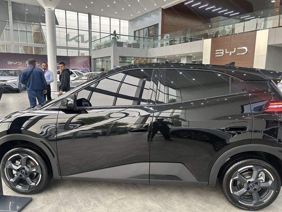 BYD SEAGULL 405 KM Flying 2025 от официального  ДИЛЕРА BYD ROHAT