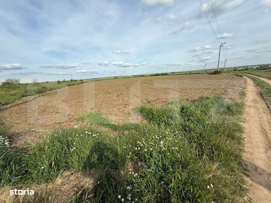 Teren intravilan, 2850 mp, zona Malu Mare