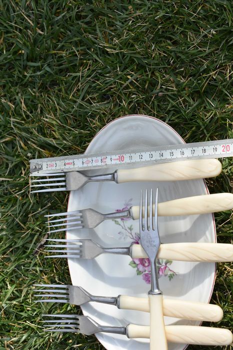 стари руски вилици