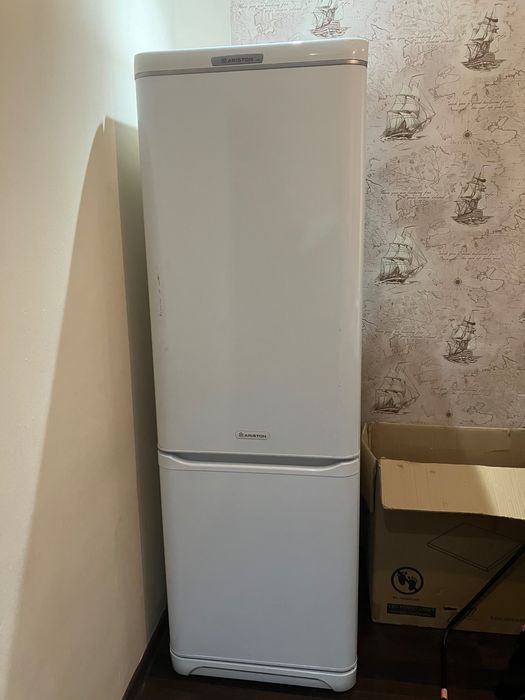 Холодильник ariston