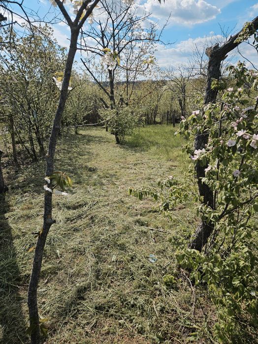 Дворно място 600кв м  без постройка с Слънчево 95ев. кв.м. ток вода 21м.лице към улица.