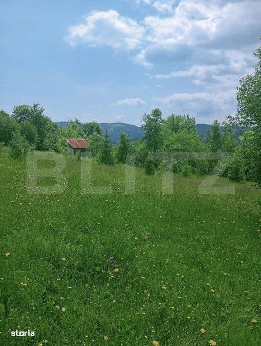 Teren intravilan de vanzare, 30.121 mp, Trancesti, Scarisoara