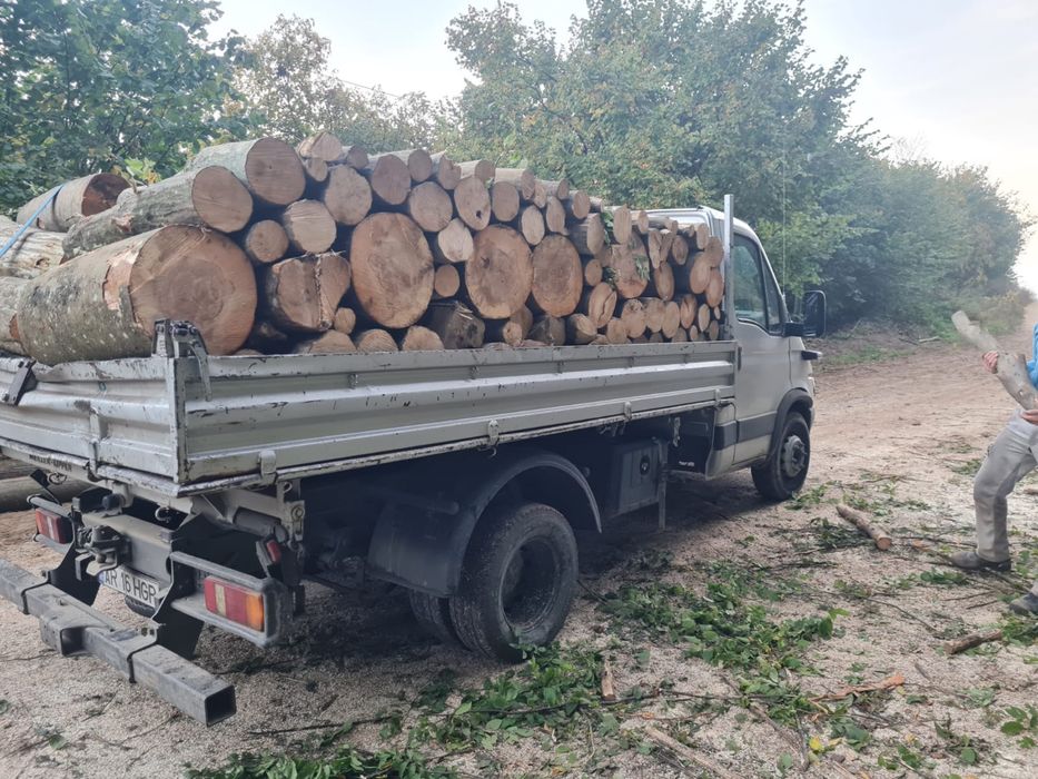 Lemn de foc esenta tare