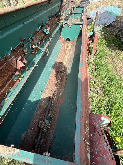 Semanatoare paioase sup 29