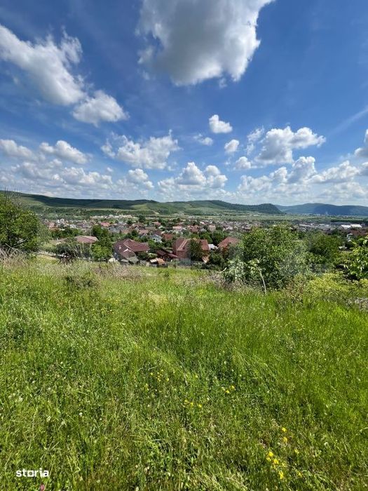 Teren Extravilan de vanzare 3000 m - zona Viisoara